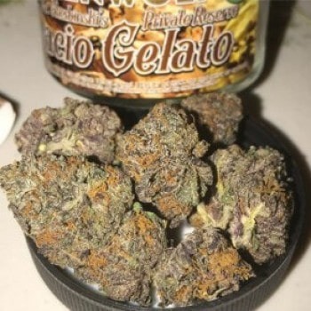 Gelato Strains